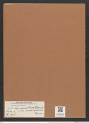 Navicula cancellata var. ammophila Grun. (de-Toni-Nr.: Genus 1, Species 116) Zeichnungen Sammlung Grunow Mappe 00098 (Herbarium_W_Grunow_drawings_Folder_00098)